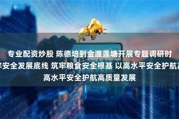 专业配资炒股 陈德培到金渡莲塘开展专题调研时强调：守牢安全发展底线 筑牢粮食安全根基 以高水平安全护航高质量发展
